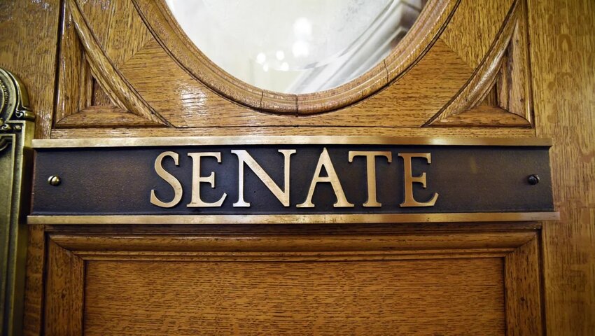 Five South Dakota Republican Senate primaries to watch – Brookings Register