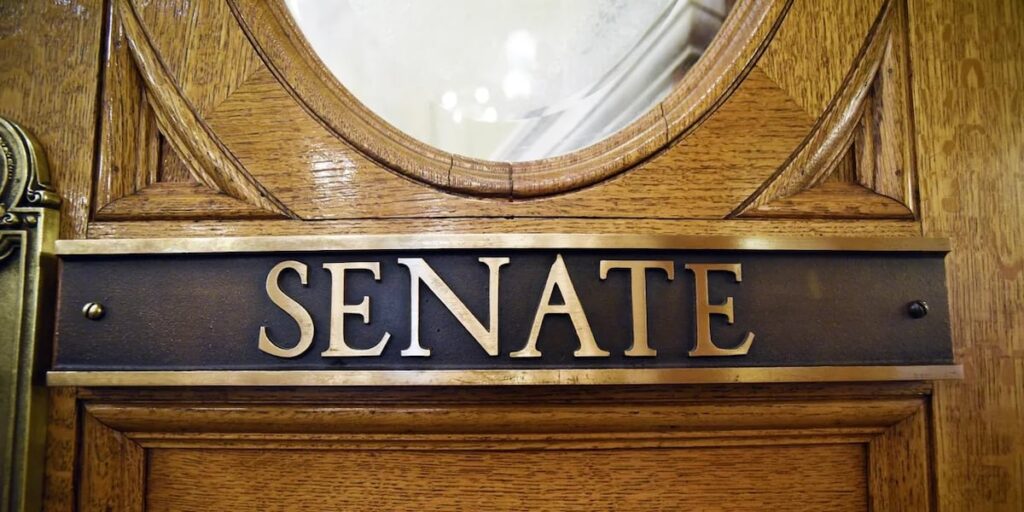 SD Senate’s GOP power balance at stake: 5 primary races to watch