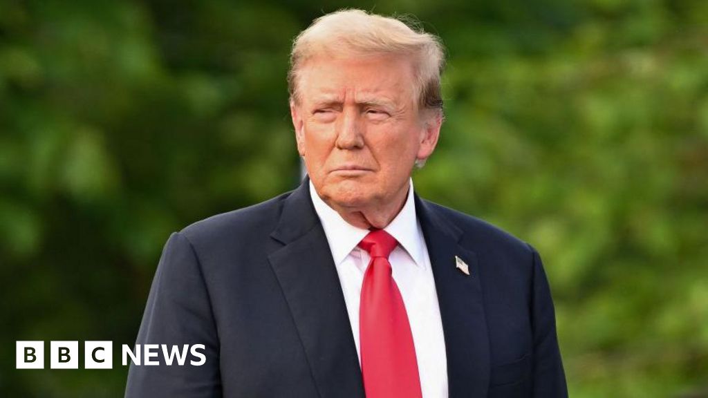 Trump campaign gets $50m boost from single donor – BBC News