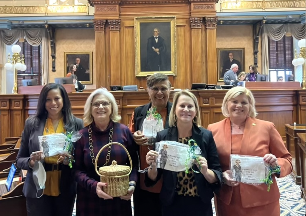 South Carolina Republican women voted out of state senate – QnotesCarolinas.com