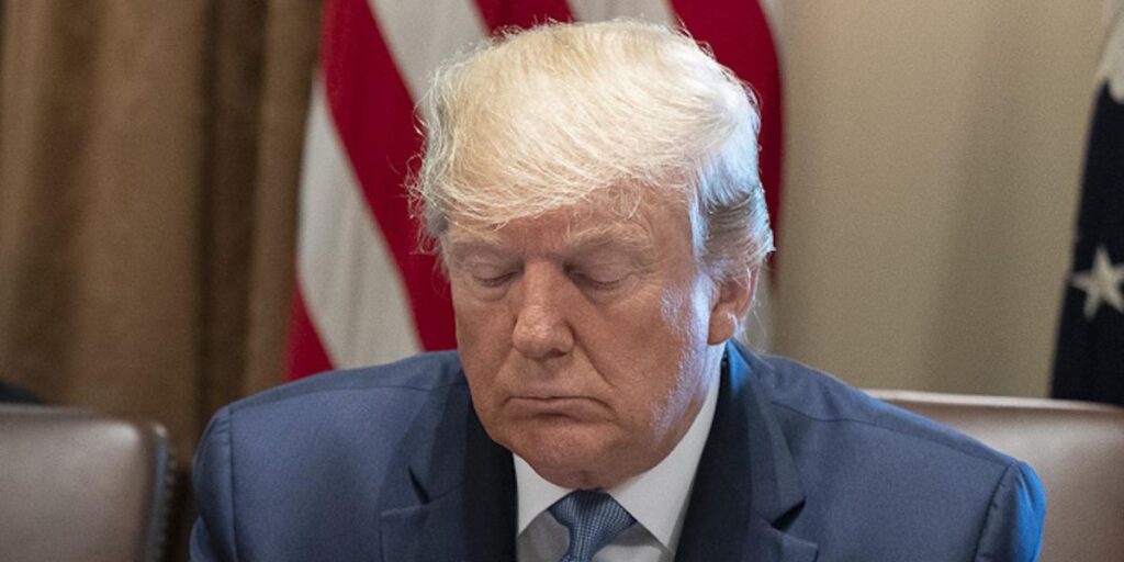 Conservative tells GOP donors to ‘focus on the Senate’ as it’s ‘unlikely’ Trump will win