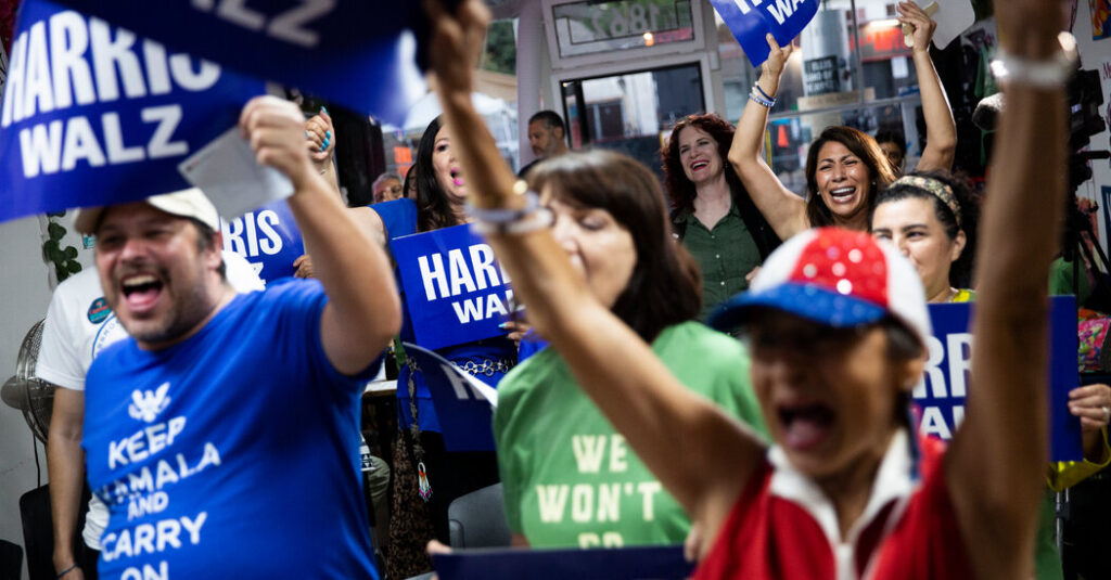 What Voters Outside the Democratic Bubble Thought of Harris’s Speech