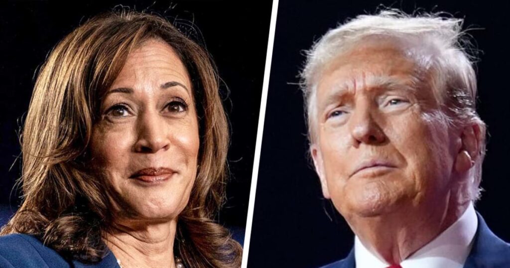 Trump struggles to keep his edge against Harris with fewer than 100 days until the