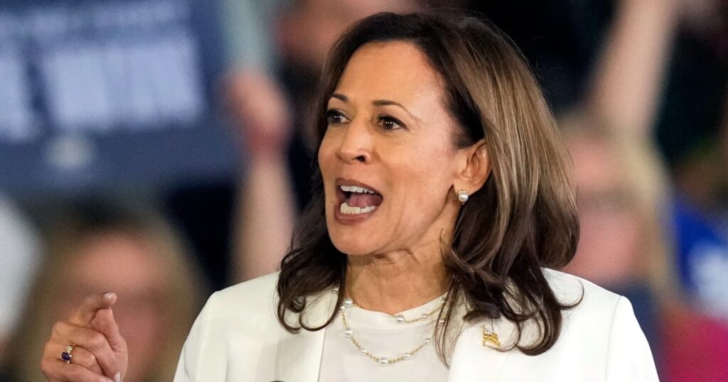 ‘I am speaking now’: Harris rally in Michigan interrupted by pro-Palestinian protesters