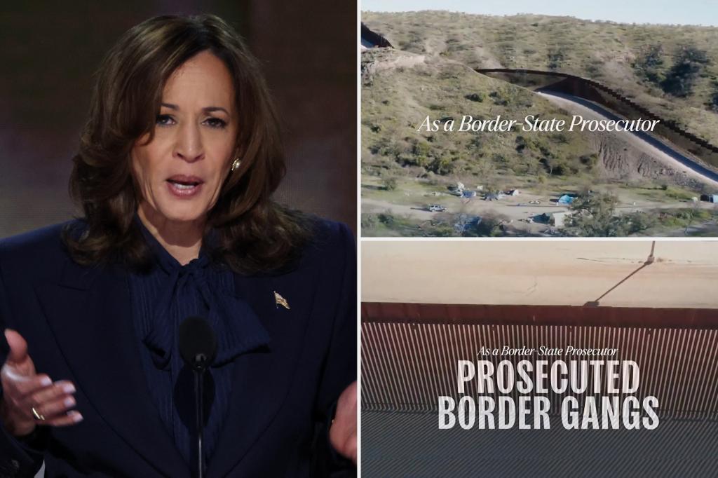 Trump supporters rip Kamala Harris for showing off border walls she claims to hate in