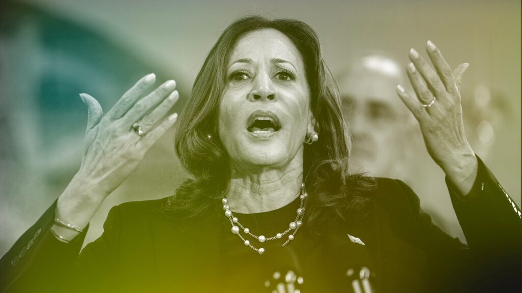 Has Kamala Harris Risen Above the Vibecession?