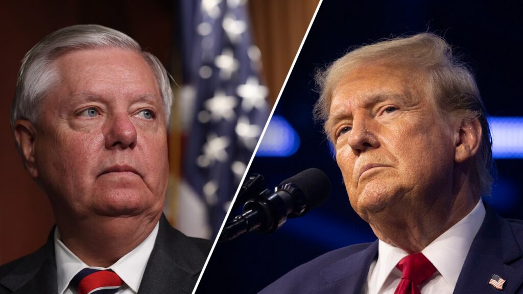 South Carolina senator warns Trump to focus on Harris’ ‘dangerous liberal’ record, not