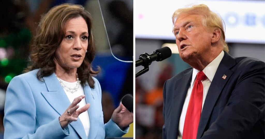 Can Kamala Harris win the 2024 US election? Allan Lichtman makes his final prediction |