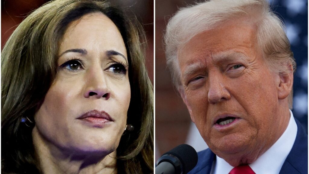 Nostradamus of presidential election predictions Allan Lichtman says Kamala Harris will