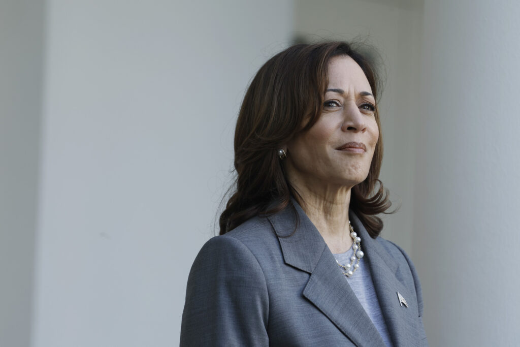 How Kamala Harris compares to Biden, Clinton ahead of key election period