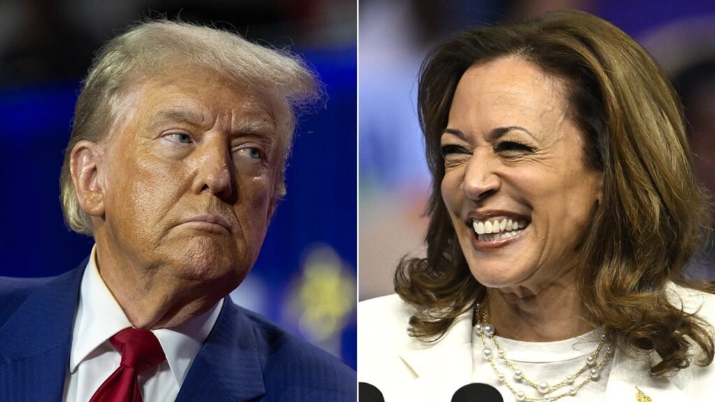Harris voter enthusiasm overtakes Trump after Democratic convention, poll finds